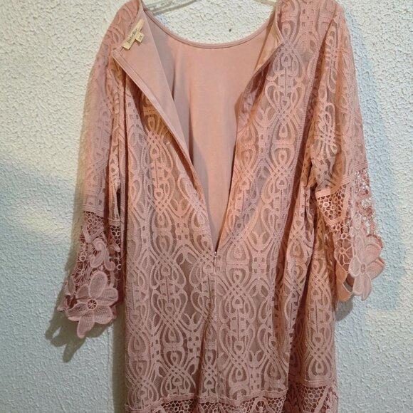 Elegant Rebellion size 3X Pink Lace Dress With Floral Accents & Zipper Closure - Picture 4 of 5